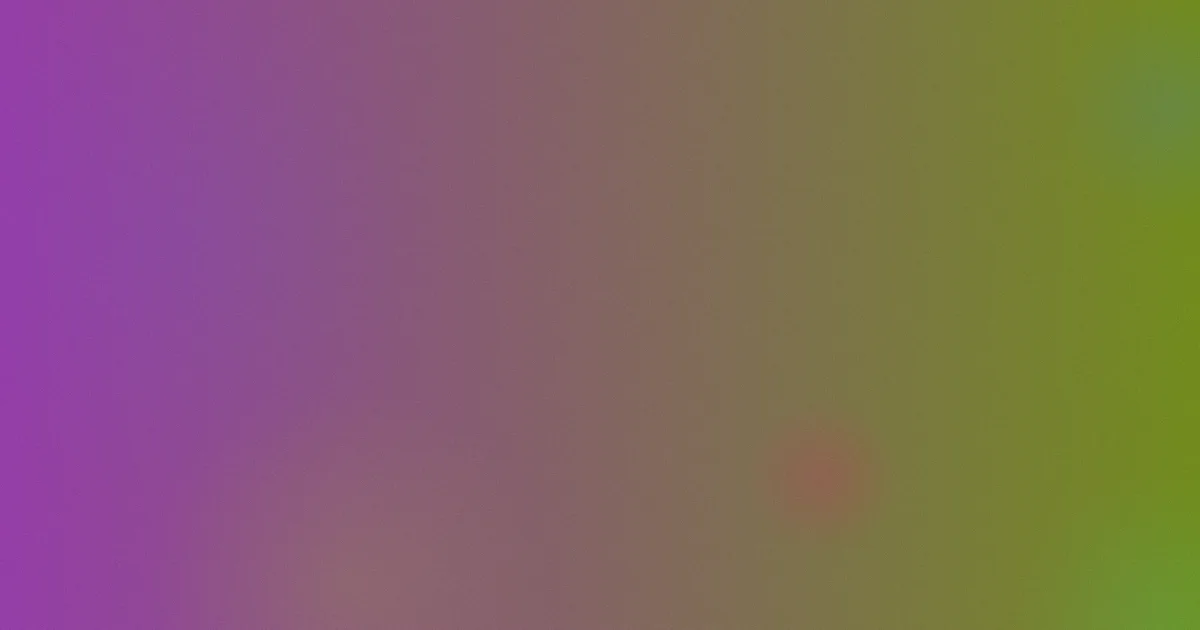金圭丽攻略：入坑先看这5步